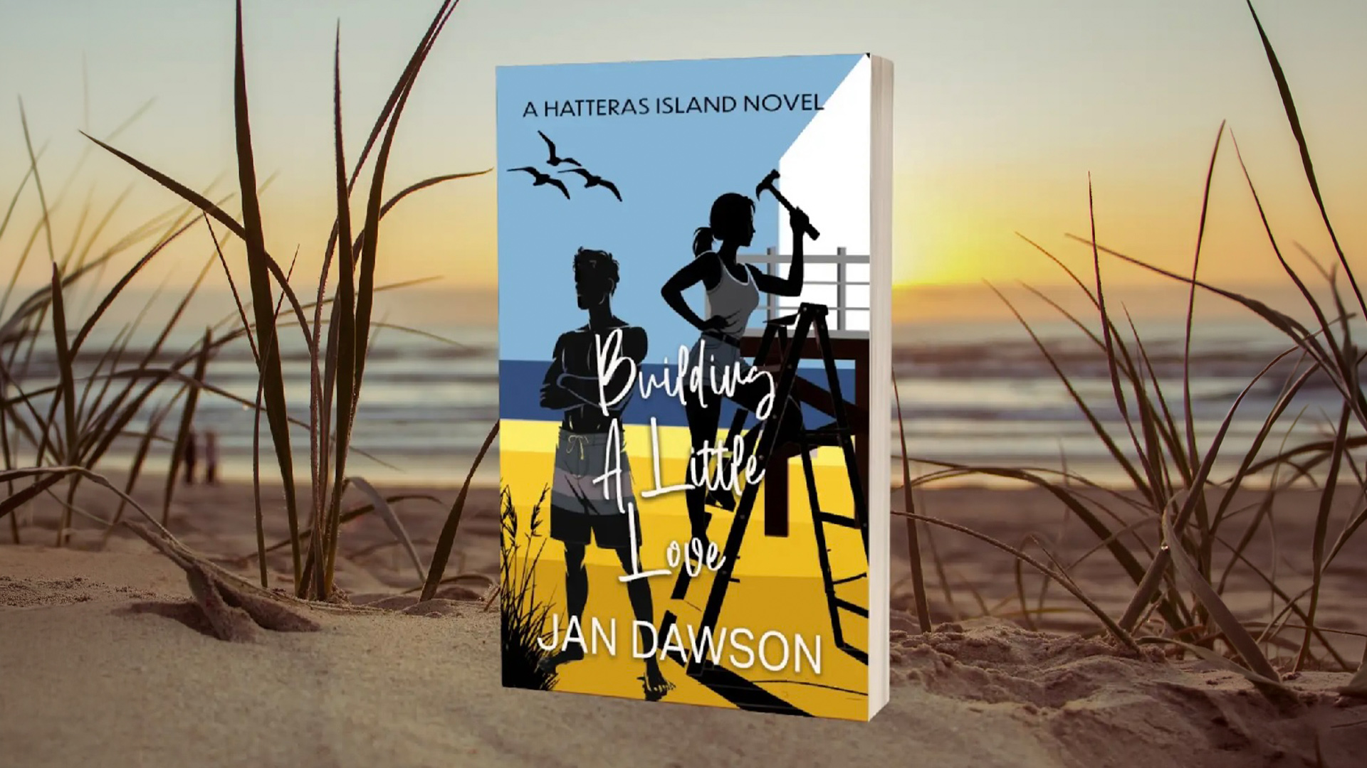 Jan Dawson Book Signing Building a Little Love