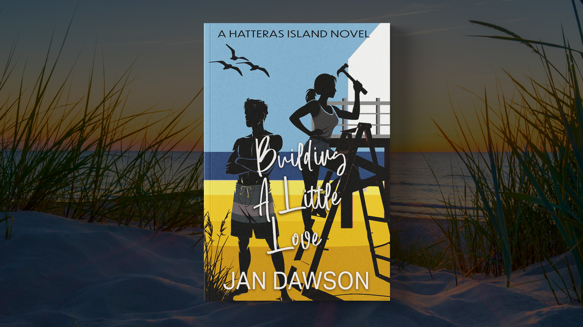 Jan Dawson Book Signing Building a Little Love